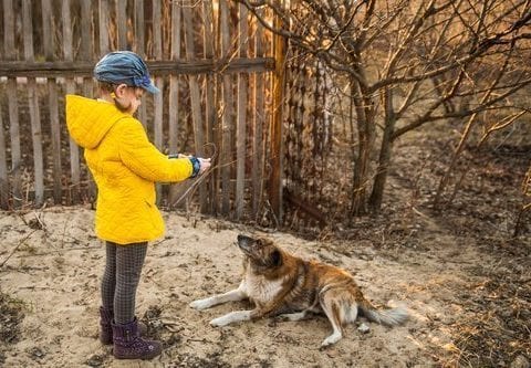 beneficios de los perros en niños autistas
