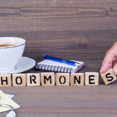 Types of hormones: People are pure chemistry