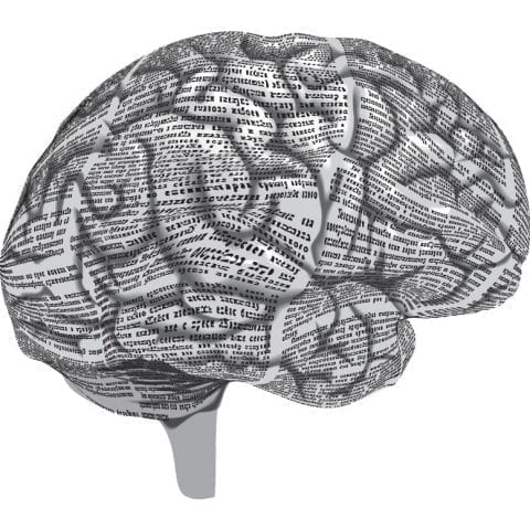 Gray Matter: How we process information