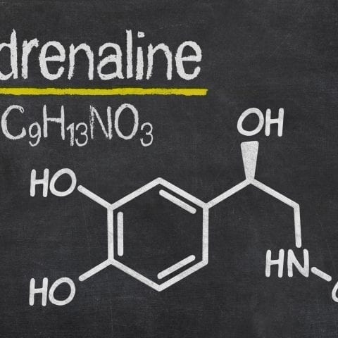 Adrenalina o Epinefrina: Una guía útil con preguntas y respuestas