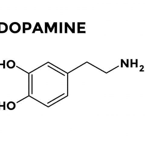 ¿Qué es la dopamina y para qué sirve? Preguntas y respuestas