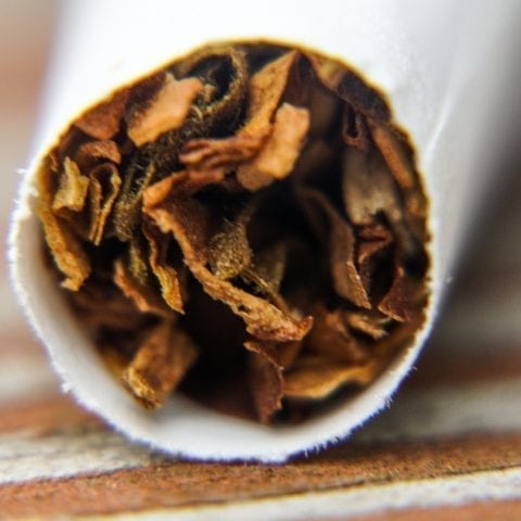 Smoking “rots” the brain by damaging memory